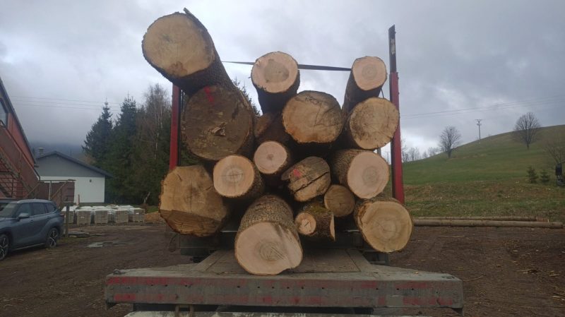 sprzedam JESION dł. 3/4/5m śr. 35-55cm